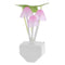 Colorful LED Mushroom Night Light Luminous Lamp Sensor Baby Gift(EU Plug)