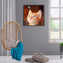 Diamond Painting 5D Cat Plays Butterfly DIY Full Round Drill Mosaic Picture Sets