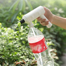 Electric Plant Spray Bottle Watering Fogger USB Garden Sprayer Machine (B)