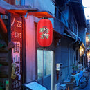 10inch Spray Painting Lantern Cloth Hanging Decorative for Pub Festival (D)