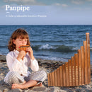 15 Pipe G Key Pan Flute Bamboo Panpipes Chinese Traditional Woodwind Instru