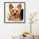 40x40cm Cat Dogs Canvas Painted Oil Paint By Numbers Wall Modern Bedroom Deco