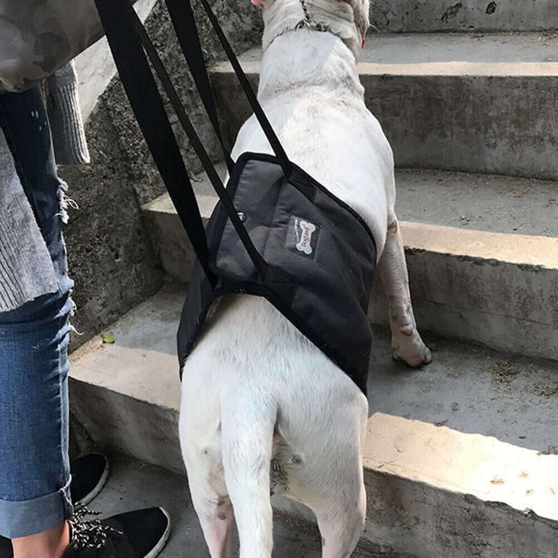 Adjustable Dog Sling Support Harness Rehabilitation Waterproof Pet Carrying