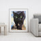 Frameless Oil Paint By Numbers DIY Cat Picture Craft Kit Home Living Room Decor