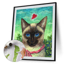 Animal Oil Paint By Numbers DIY Picture Hand Painted Wall Art 40x50cm (Cat)