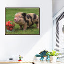 5D DIY Cute Pig Diamond Painting Embroidery Rhinestones Mosaic Cross Stitch