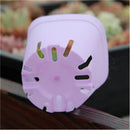 Boxplanter Succulent Plastic Flower Pot Planter Tool Plant  Trays Mini Basin