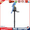Solar Power LED Parrot Lawn Light Waterproof Garden Landscape Lamp (Blue)