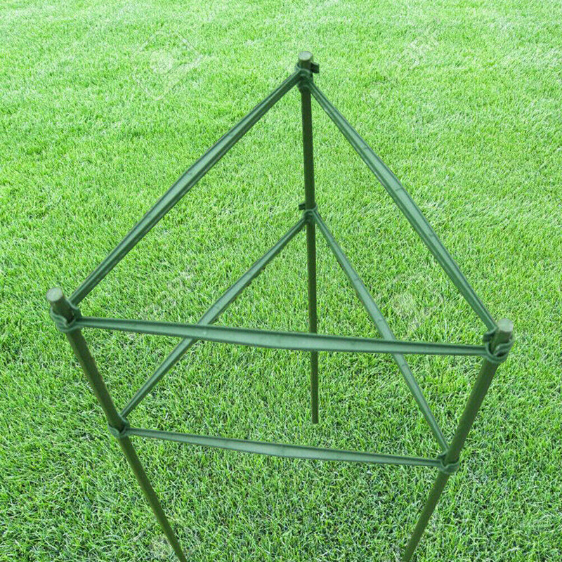 12pcs Tomatoes Vegetables Fruits Plants Climbing Brackets Connecting Rod Newly