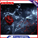 DIY Diamond Embroidery Drawing Set Rose Lover Mosaic Picture for Home Decor