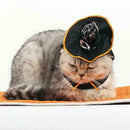 Halloween Cat Wizard Hat Products That Transform Into Hat Scarf Wizard O1V0 N0C5
