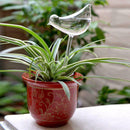 Glass Plant Flowers Water Feeder Self Watering Bird Device*1 Waterer S8O4
