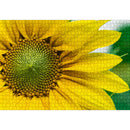 1000pcs DIY Yellow Sunflower Puzzle Educational Learning Assembling Jigsaw