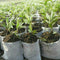 200* Biodegradable Non-woven Nursery Bags Plant Grow Seedling SALE Pots G7Z9