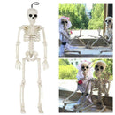 Poseable Full Life Skeleton Prop Halloween Decorati Party H3Q2 E6B4