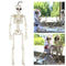 Poseable Full Life Skeleton Prop Halloween Decorati Party H3Q2 E6B4
