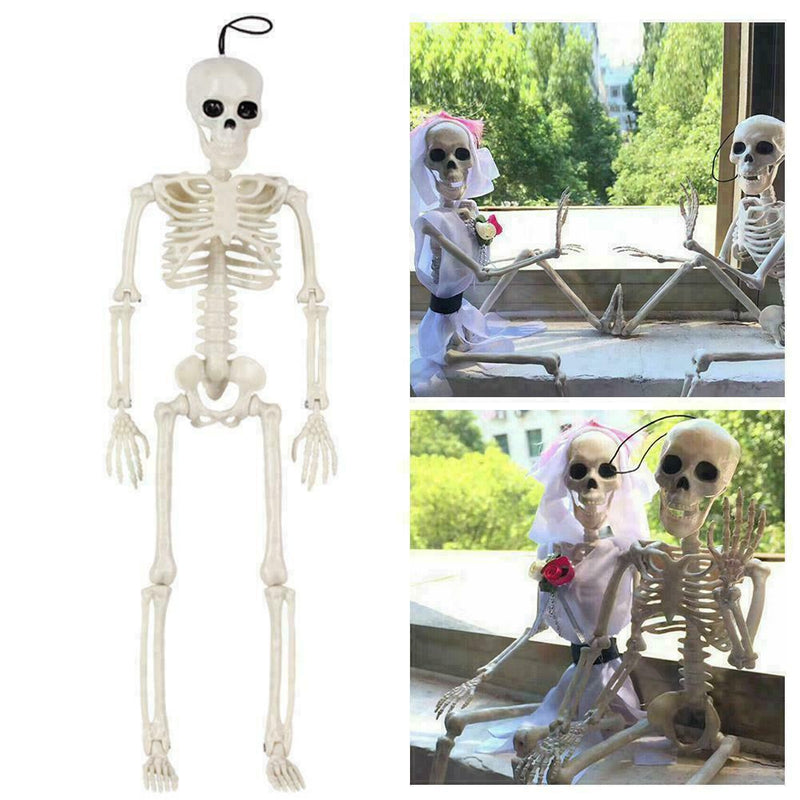 Poseable Full Life Skeleton Prop Halloween Decorati Party H3Q2 E6B4