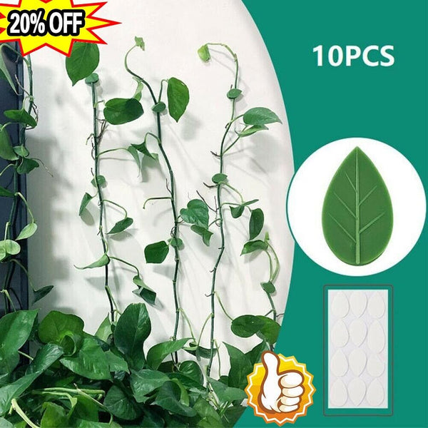 10x Plant Fixture Clip Plant Climbing Wall Self-Adhesive Tied Fasteners best