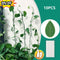 10x Plant Fixture Clip Plant Climbing Wall Self-Adhesive Tied Fasteners best
