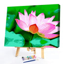 DIY Digital Painting By Numbers Lotus Frameless Canvas Picture Home Decoration