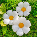 INS Daisy Aluminum Film Balloon Sun Flower Birthday Prop (Middlle Daisy)