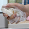 Dishwashing Sponge - Water Absorption & Quick Dry Compressed Wood Pulp Spon