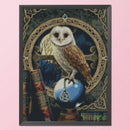 40x50cm Cross Stitch Full Embroidery Kit Owl Animal Home Art Decoration Stamped