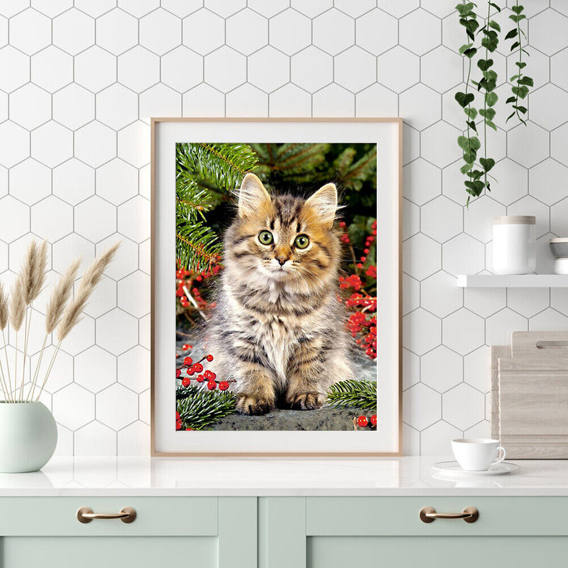 DIY Diamond Paintings Cute Cat Cross Stitch Embroidery Art Bead Picture Kits