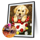 DIY 5D Diamond Embroidery Dog Painting Cross Stitch Craft Home Decor Newly