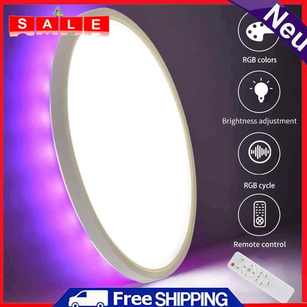 Modern Ceiling Lights PC Ceiling Lamp for Bedroom Study Kitchen Balcony Fixtures