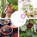 Full-Spectrum Intelligent Timing Plants Flowers Seedlings USB Sunlight Phytol