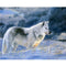 Snow Wolf 5D Diamond DIY Painting Craft Kit Home Decor