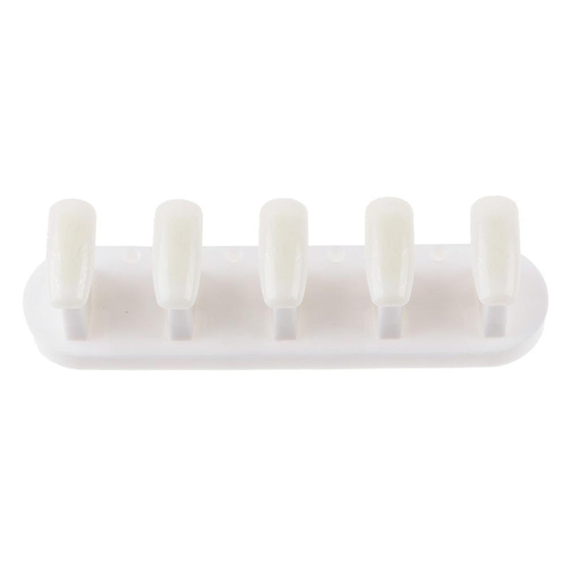 3 in 1 Nail Holder Practice Training Display Stand w/15pcs Nail Tips (White