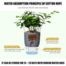 Watering Planter Self Watering Flower Pot Water Storage Basin (15.3cm) Newly