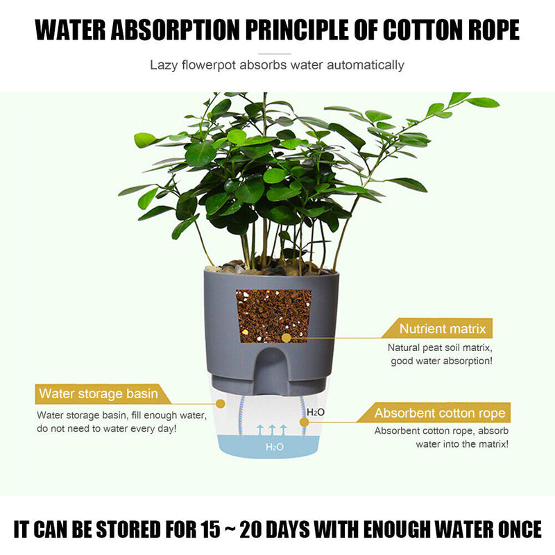 Watering Planter Self Watering Flower Pot Water Storage Basin (15.3cm) Newly