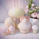 Decoration Mushroom Ornament Jar Mold Handmade Silicone Mold Crystal Epoxy Mold