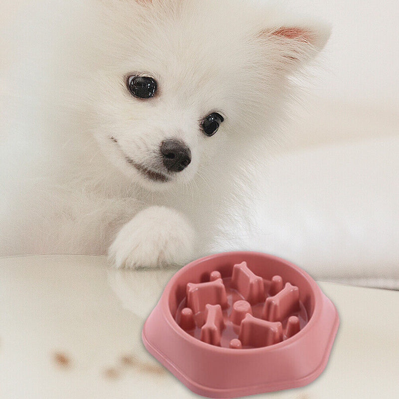 Pet Slow Eating Dog Bowl Slow Anti Choking Puppy Eating Dish Feeder Food Bo