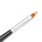 DIY Bloom Manicure Tool Gradient Effect Nail Painting Brush Pen Double-deck