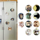 Cat Fridge Magnet Cute Animal Refrigerator Magnets Glass Cabochon U1D8