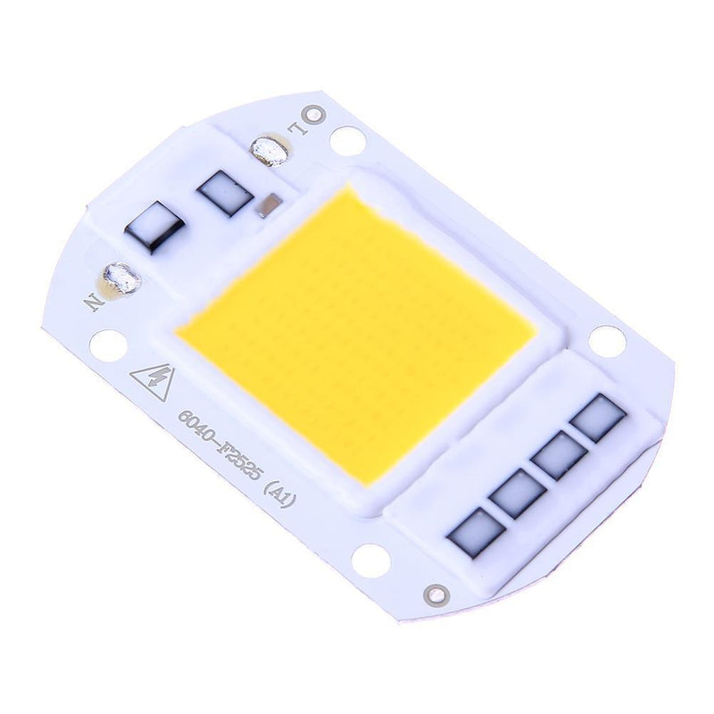 50W LEDs Floodlights COB Chip 220V Input Integrated IC Driver(Warm White)