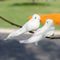 2pcs White Feather Artificial Foam Doves Lover Peace Doves Bird Home Decor
