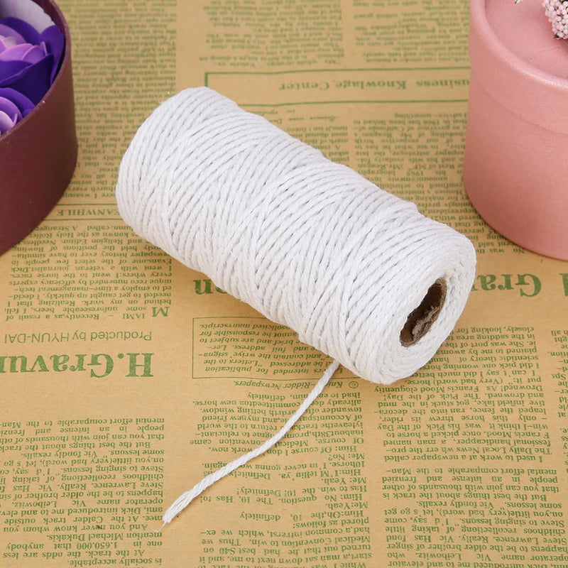 1 Roll 100 Meters 2Ply Cotton Twine DIY Weaving Handmade Craft Rope (White Newly