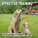 Steel Adjustable Training Collar Pet Training Tool Dog Prong Collar Dog Leash