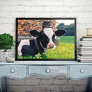 5D DIY Diamond Painting Kits Full Round Drill Cattle Mosaic Picture Wall Deco