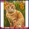 Frameless Orange Cats Oil Paint By Numbers Kit DIY Handmade Drawing On Canv