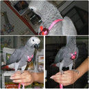 Bird Parrot Adjustable Harness & Leash Anti-bite Multicolor Light Soft  Newly