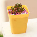 Succulent Boxplanter Plastic Plant  Trays Flower Pot Planter Tool Mini Basin