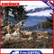 DIY Digital Painting By Numbers Kit Wolf Canvas Color Picture Decoration 40x50cm