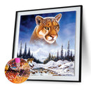 5D DIY Full Drill Diamond Painting Snow Mountain Tiger Cross Stitch Mosaic