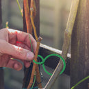 Plant Garden Stem Support Clips, Grow Upright Bundled Ring for Tomato Trellis